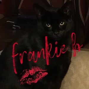 Meet your Posher, Kimmer